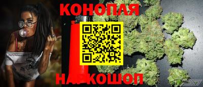 шишки Краснодар