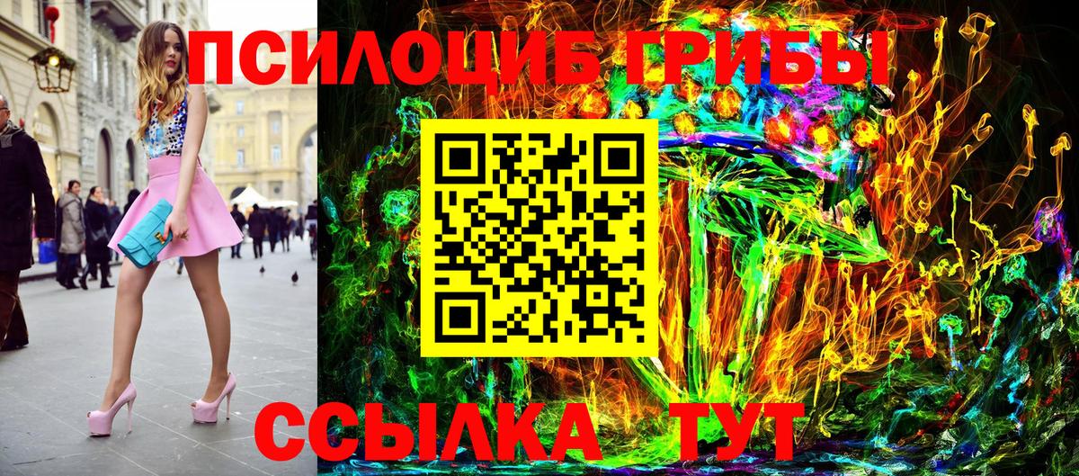 Шали  Галлюциногенные грибы Psilocybine cubensis  Вход с VPN 