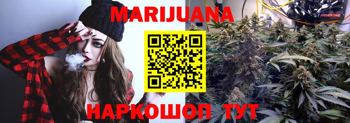 Бошки Шишки планчик Шали